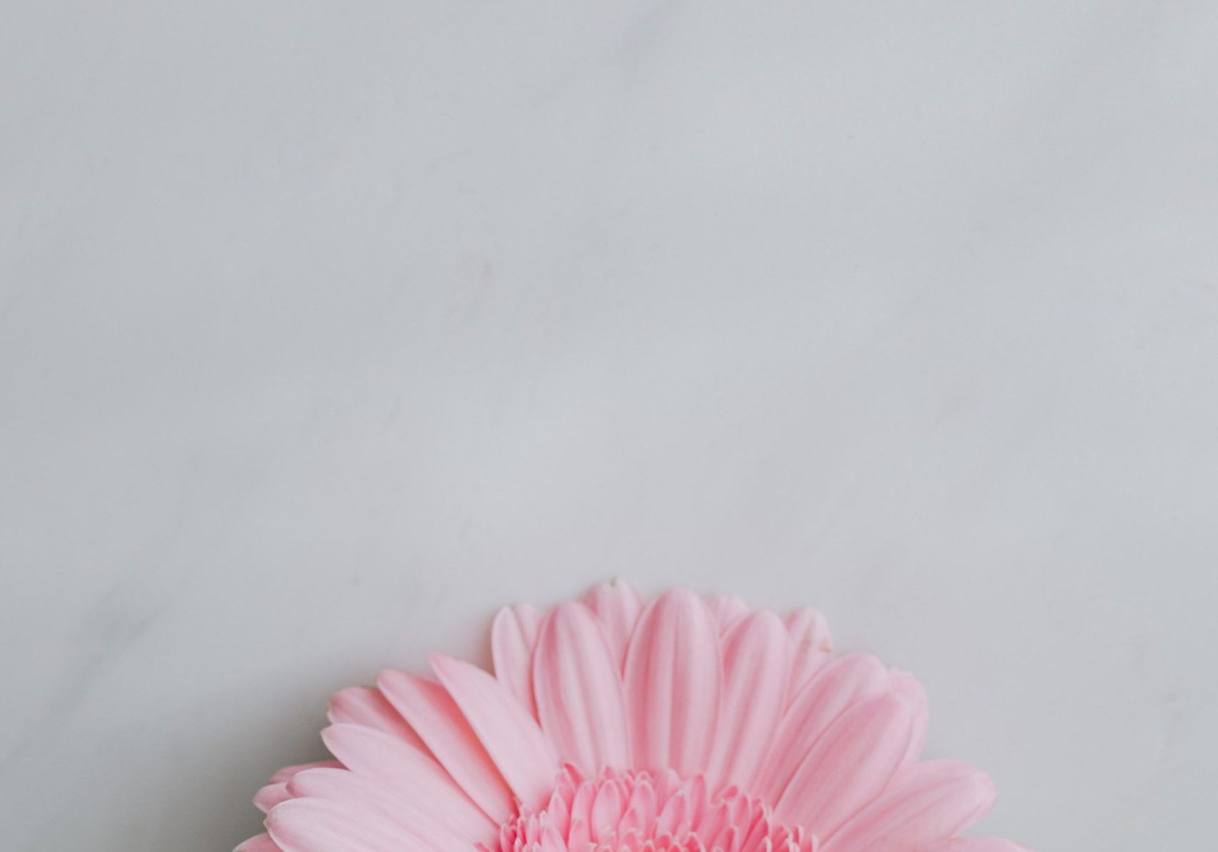 pexels-photo-4022208