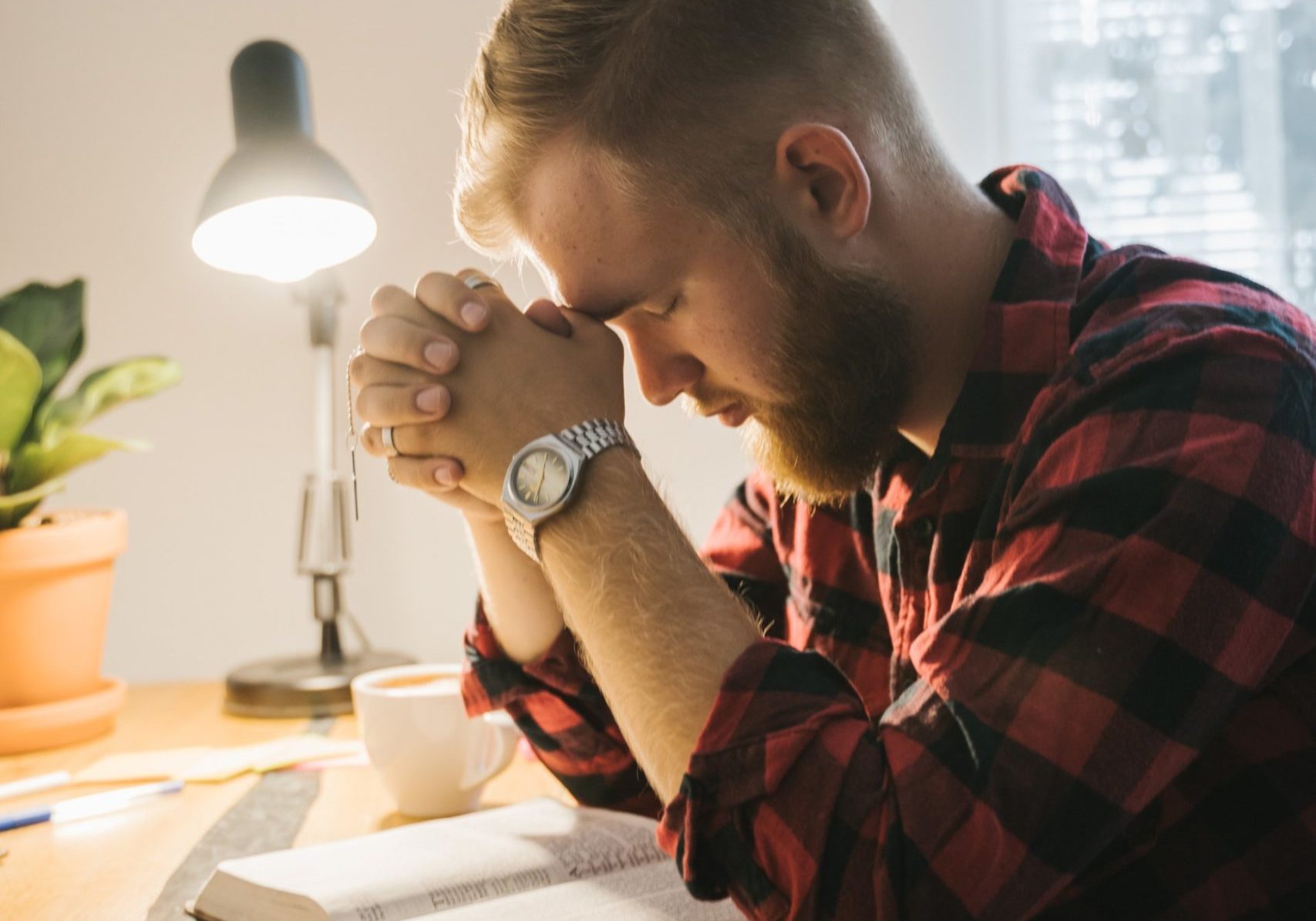 pexels-photo-5206040